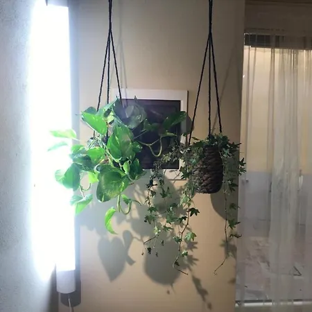 Appartement Monolocale Brennone - Centro Storico *